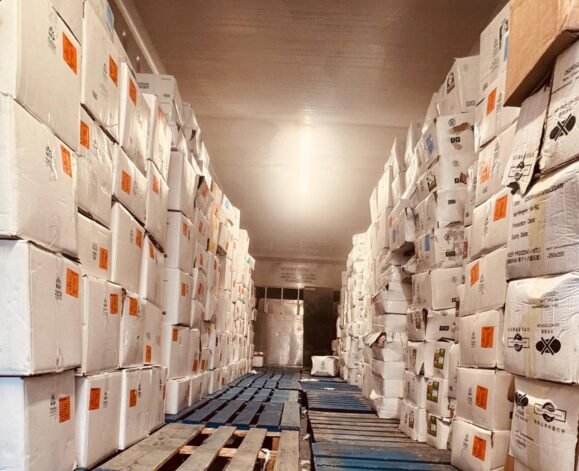 WhatsApp Image 2026-01-21 at 2.58.13 PM